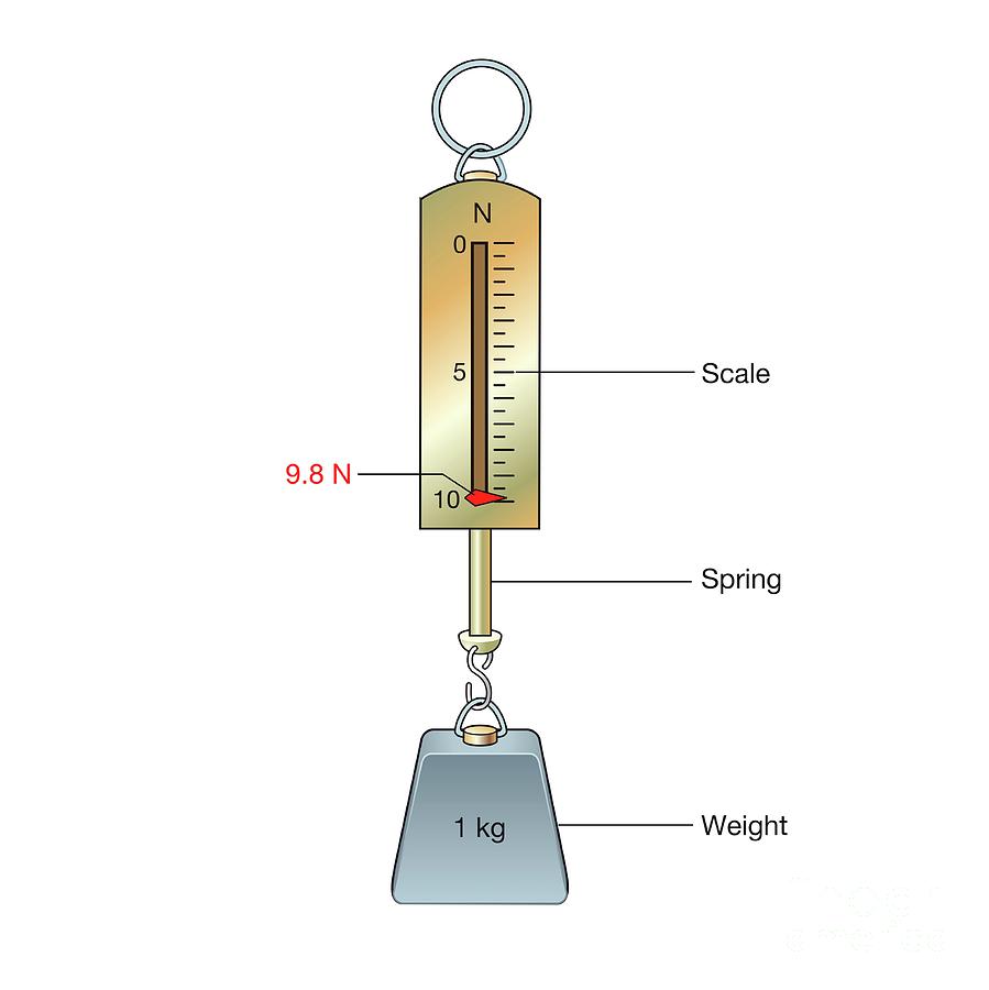 One Kilogram Mass On A Newton Meter Photograph by Science Photo Library