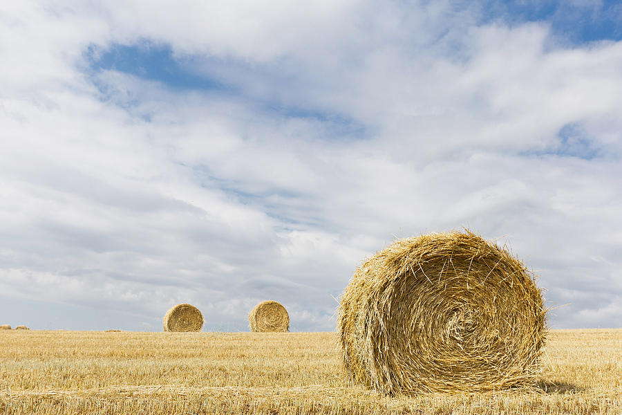 One Large Close Up Hay Bale In Field Photograph By Helen Rempel