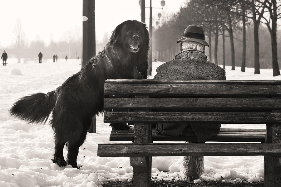 One Man And His Dog Photograph by Sandra timac
