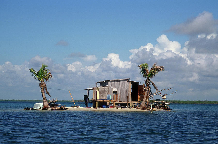 One Man Island Off Placencia, Belize by Yvette Cardozo