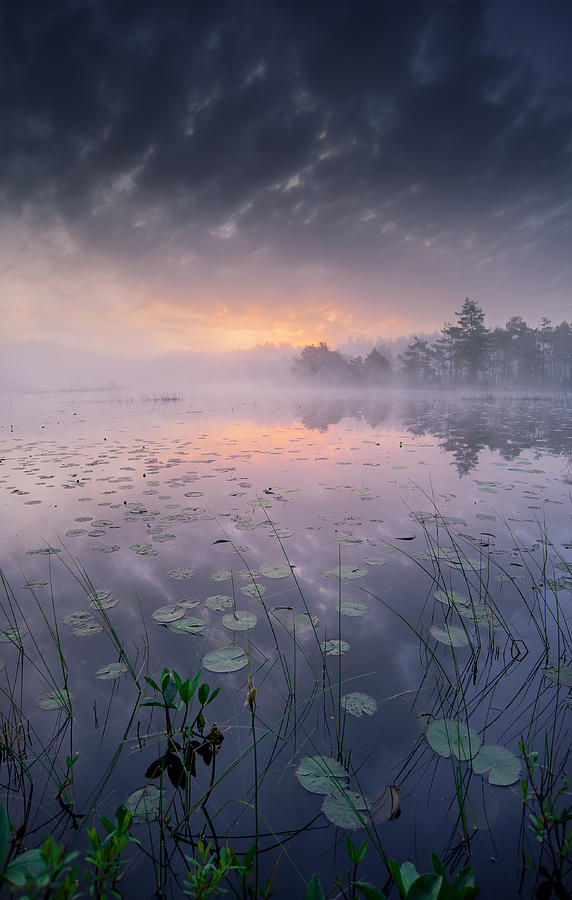 Landscape Photograph - One Morning I Woke Up by Benny Pettersson