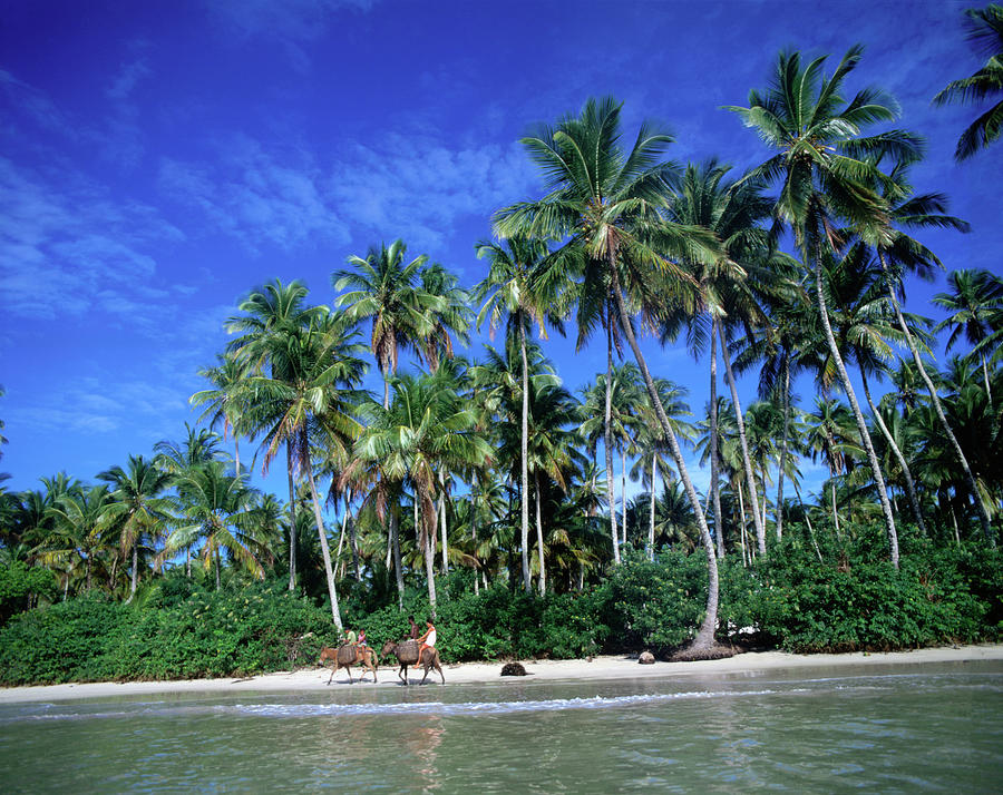 One Of Many Palm Fringed Beaches On Photograph by Manfred Gottschalk