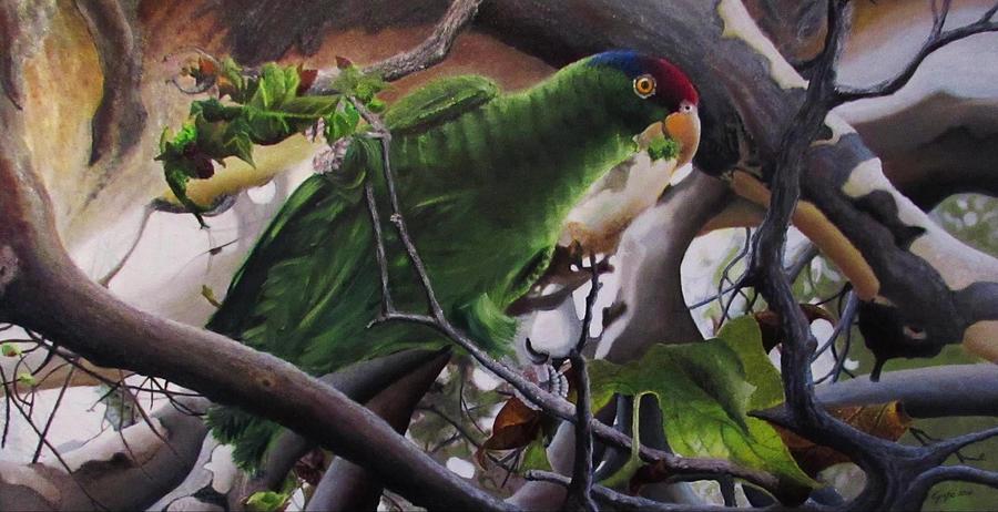 Parrot Painting - One of Them by Steven Gutierrez