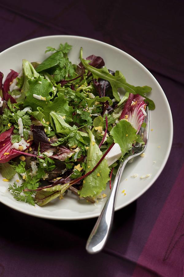 One Plate Of Salad Made With Fresh Lettuce, Herbs, Radicchio Leaves, Beetroot Leaves And Grated Hard Boiled Eggs. With Fork And A Purple Background Photograph by Laurange