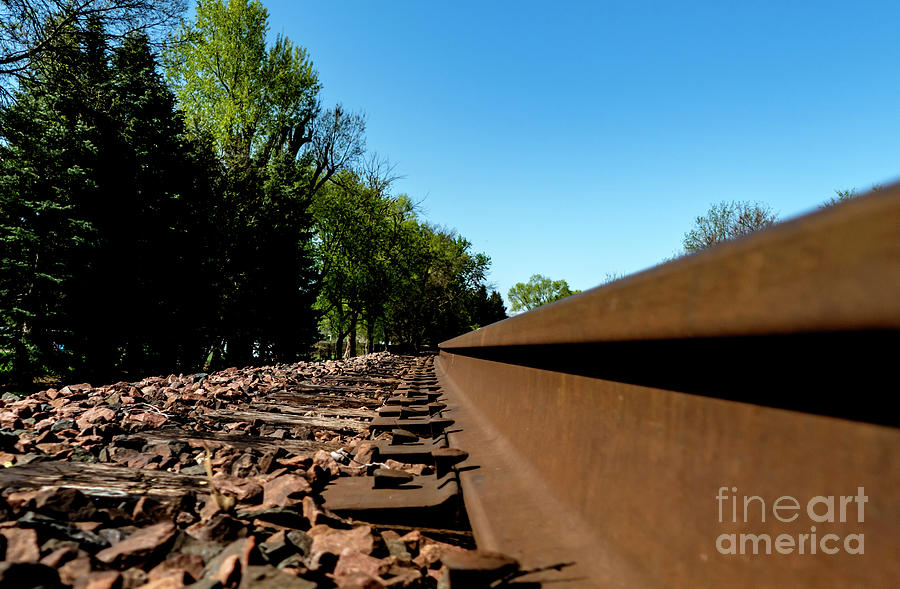 One Railroad Track Photograph by Sandra Js