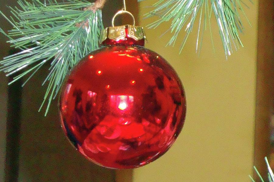 One Simple Ornament Photograph by Allison Kelly - Fine Art America