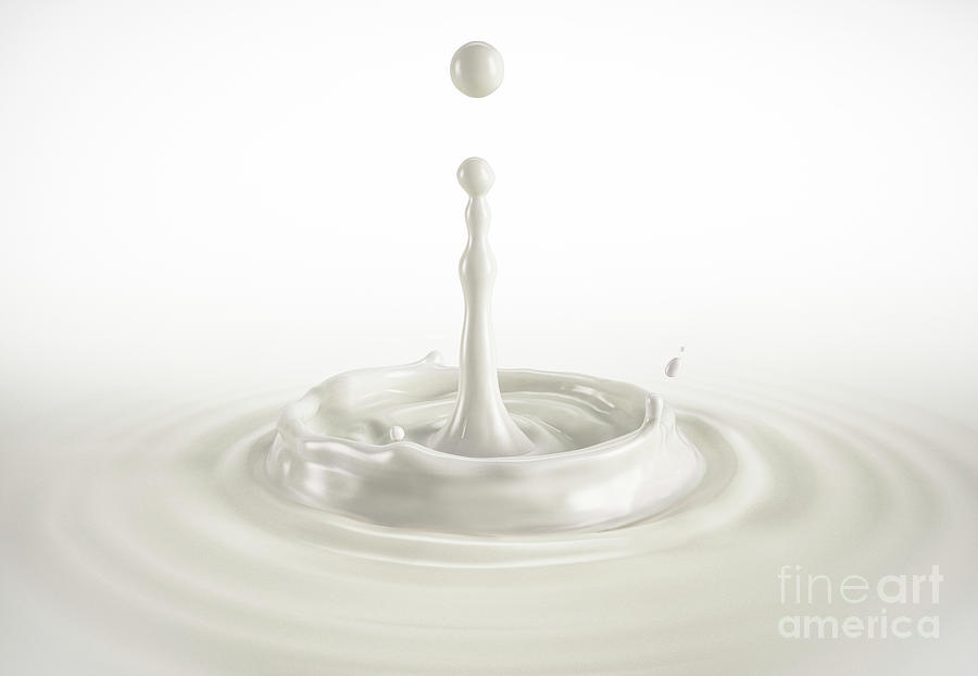 One Single Milk Drop Splashing With Ripples Photograph By Leonello