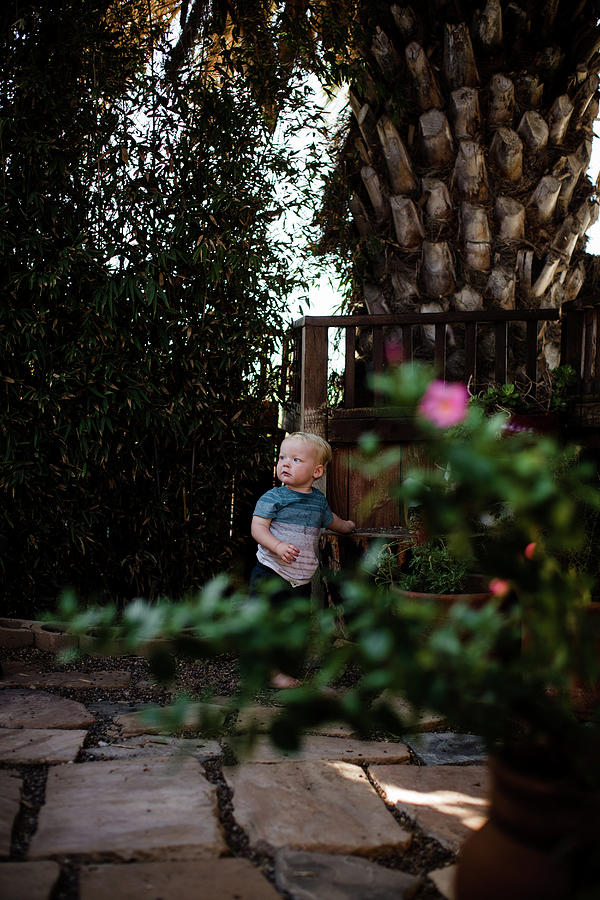 San Diego Photograph - One Year Old Standing In Yard In San Diego by Cavan Images