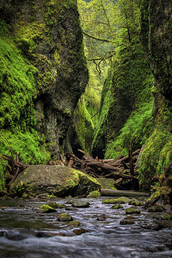 Oneonta Gorge, Columbia River Gorge Photograph by Michael Riffle