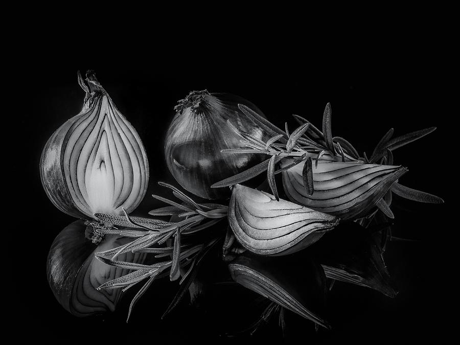 Onion Photograph - Onion by Britt Vienonen