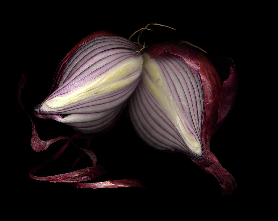 Onions Photograph by Photograph By Magda Indigo