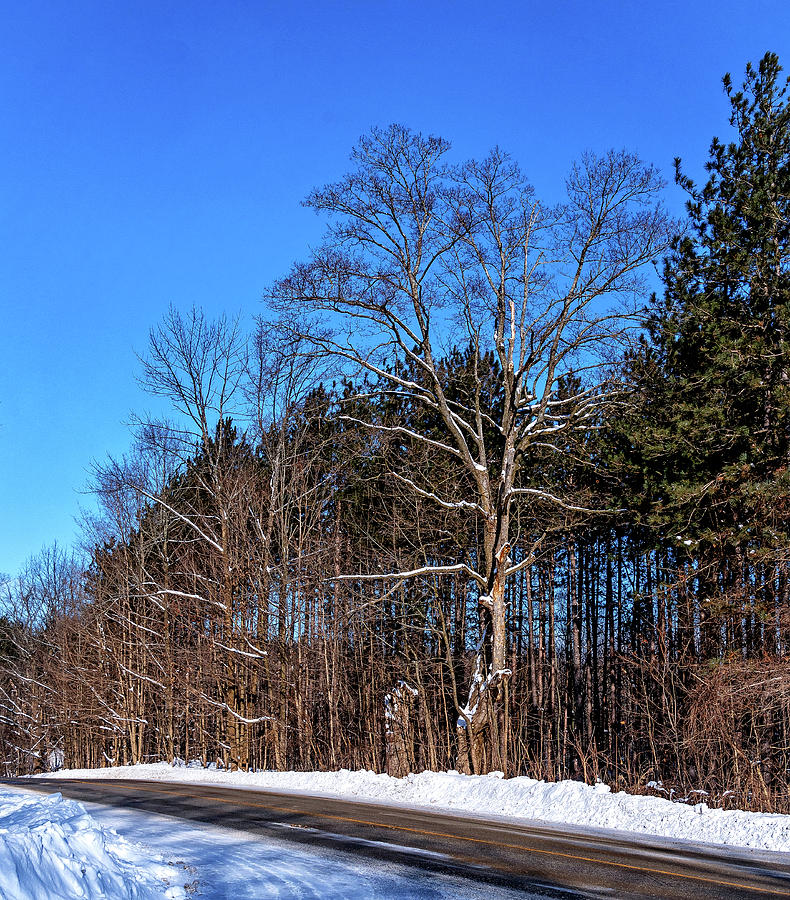 Ontario Country Road Photograph