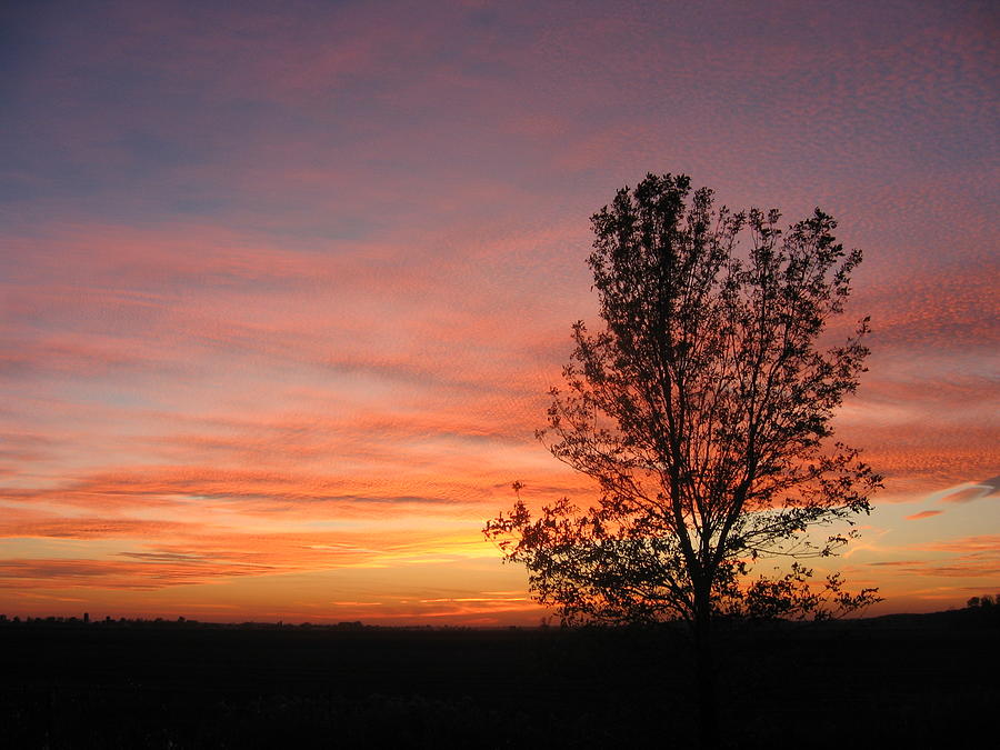 Ontario Sunset 6013 Photograph by Maciek Froncisz