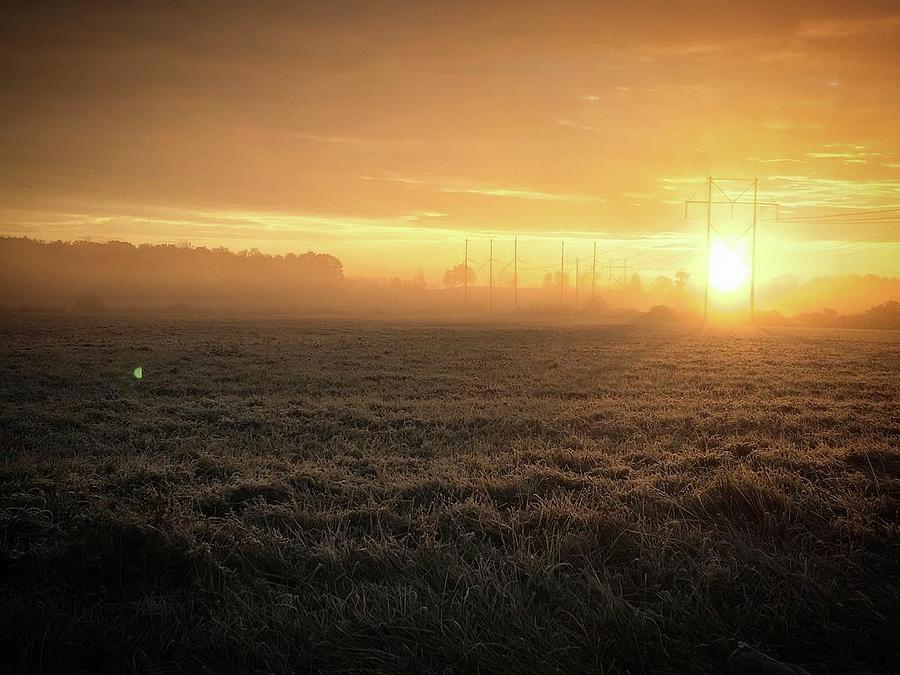 Open Field At Sunrise Photograph by Erin Rutz - Fine Art America