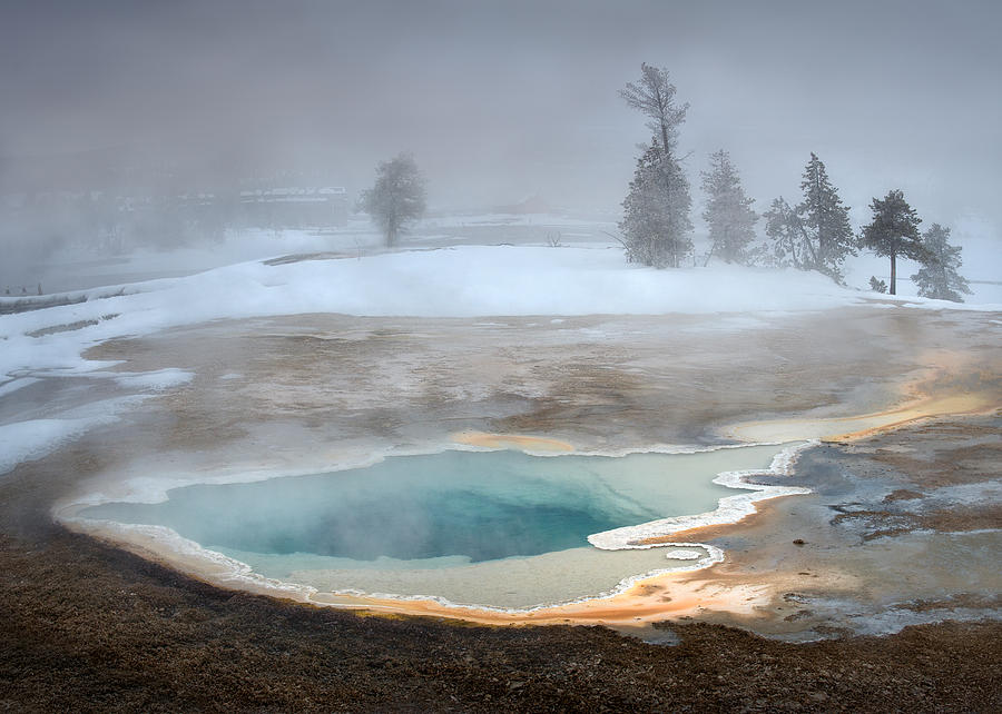Yellowstone National Park Photograph - Open Heart by Shenshen Dou