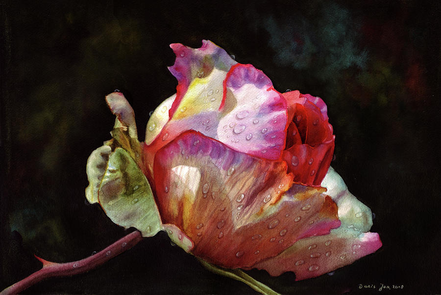 Nature Painting - Open Pink Rose Bud by Doris Joa