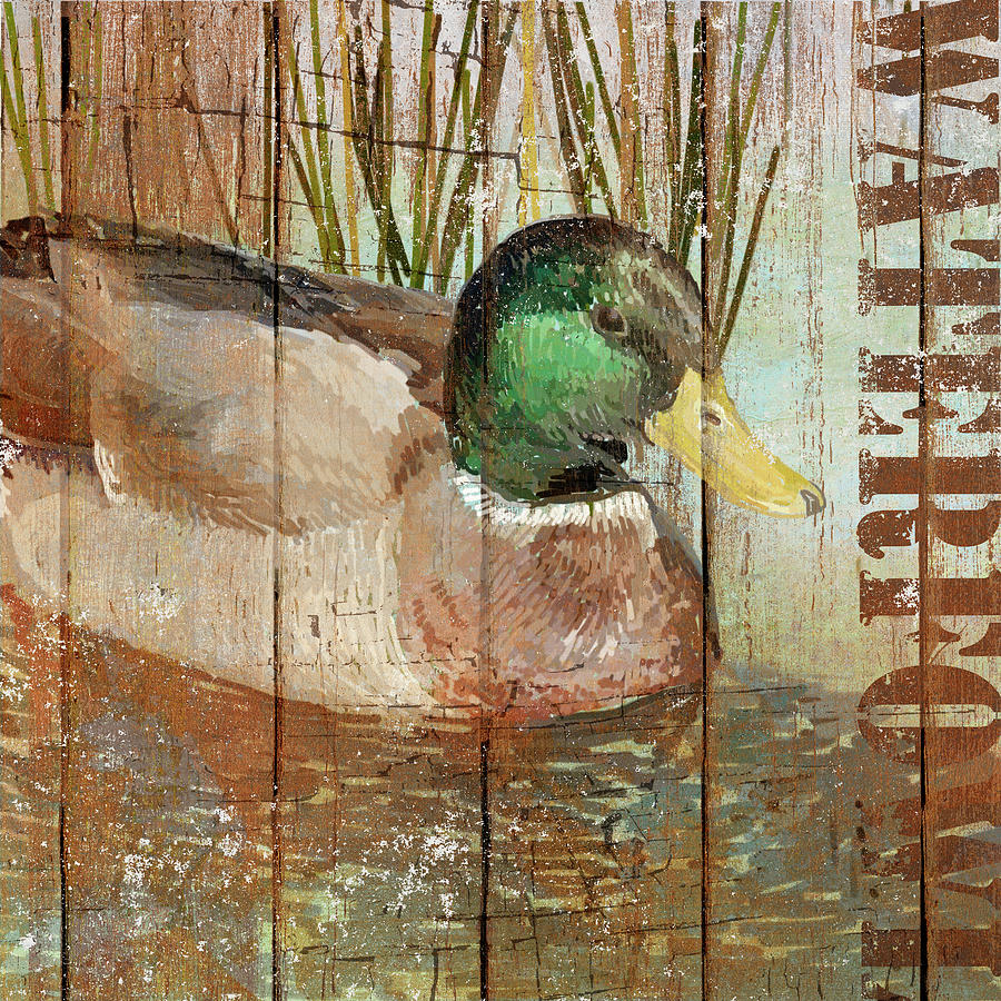 Duck Mixed Media - Open Season Mallard by Art Licensing Studio