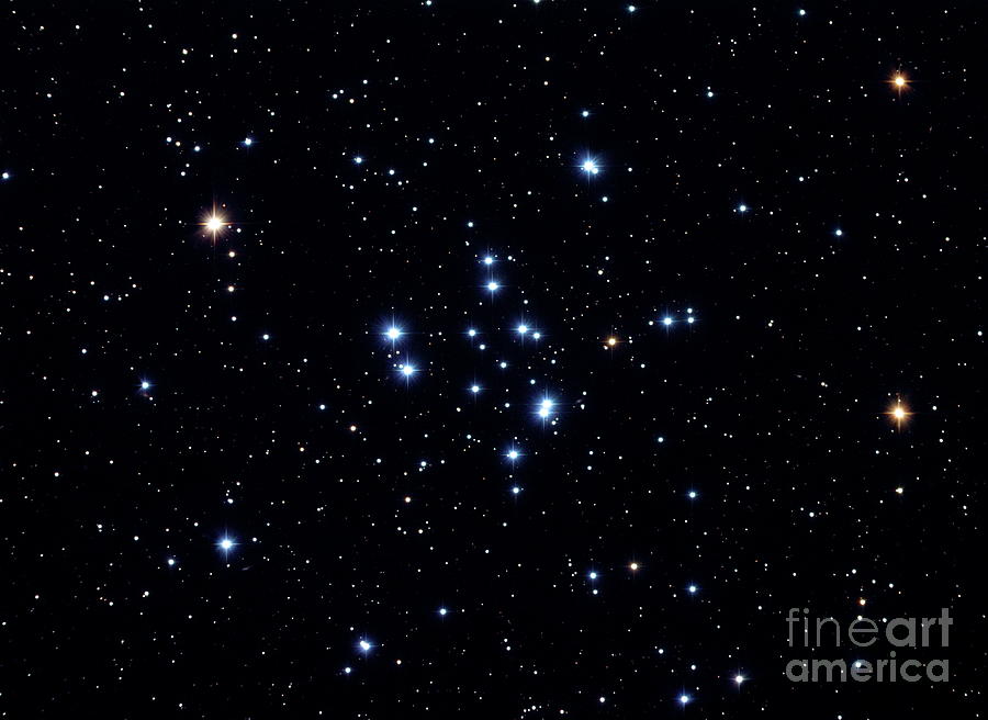 Space Photograph - Open Star Cluster M34 by Robert Gendler/science Photo Library