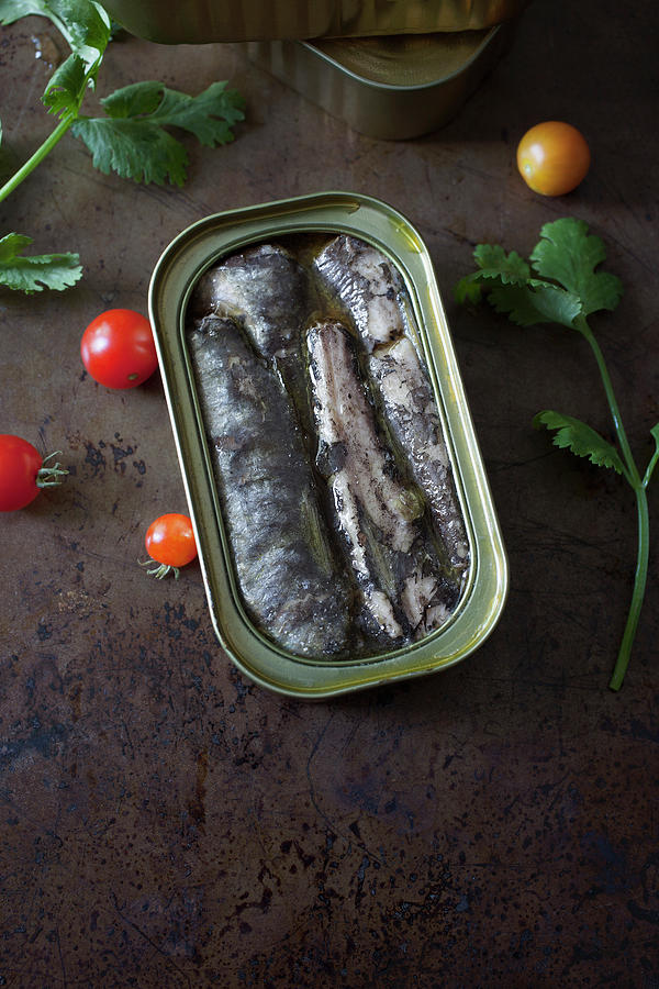 Open Tin Of Sardines In Oil On A Metal Background Photograph by ...