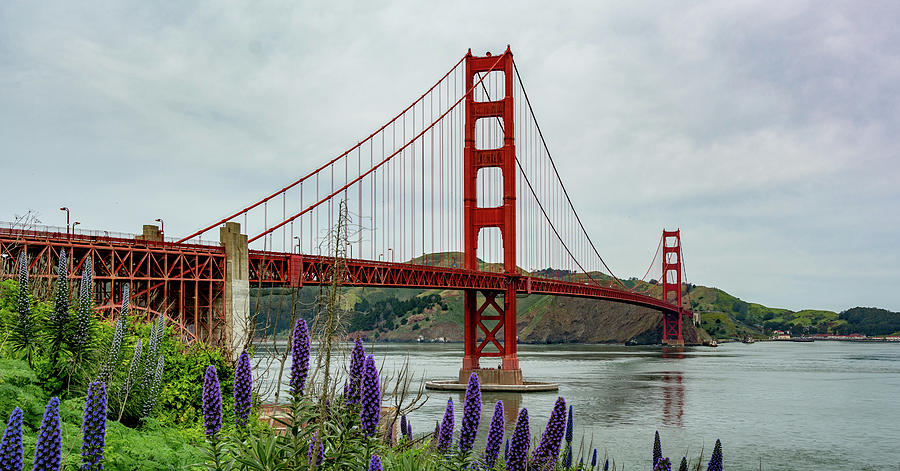 Open Your Golden Gate Photograph by Marcy Wielfaert