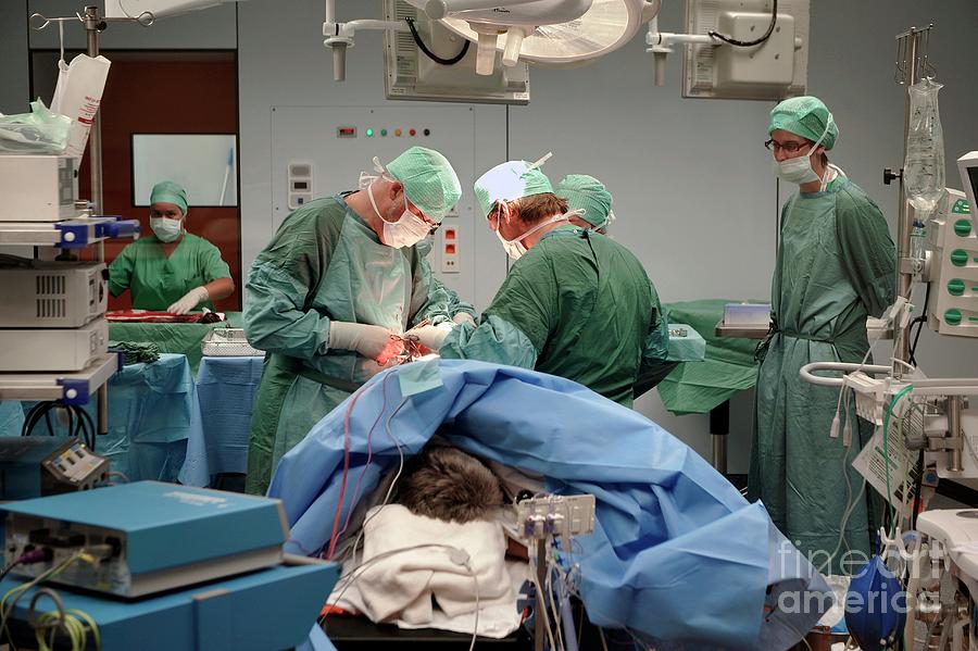 Operating Theatre Photograph by Jan Van De Vel/reporters/science Photo Library
