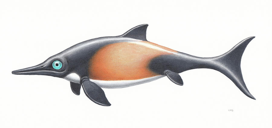 Ophthalmosaurus, Side View On White Photograph by Esther van Hulsen