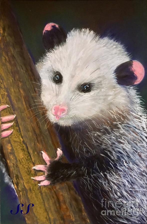 Opossum Unsung Hera Painting by Susan Sarabasha