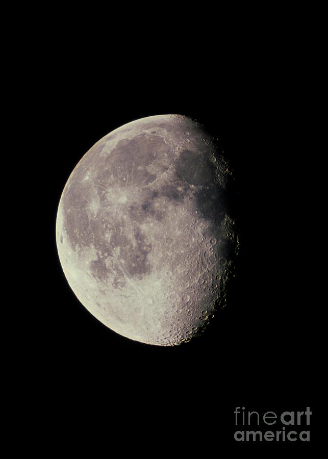 Gibbous Photograph - Optical Image Of A Waning Gibbous Moon by John Sanford/science Photo Library