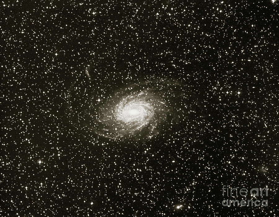 Optical Image Of The Barred Spiral Galaxy Ngc 6744 Photograph by Royal Observatory, Edinburgh/science Photo Library