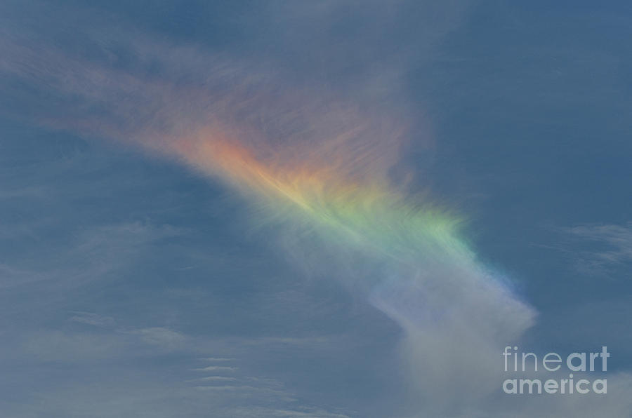 Optical Phenomenon - Fire Rainbow Photograph by Dale Powell