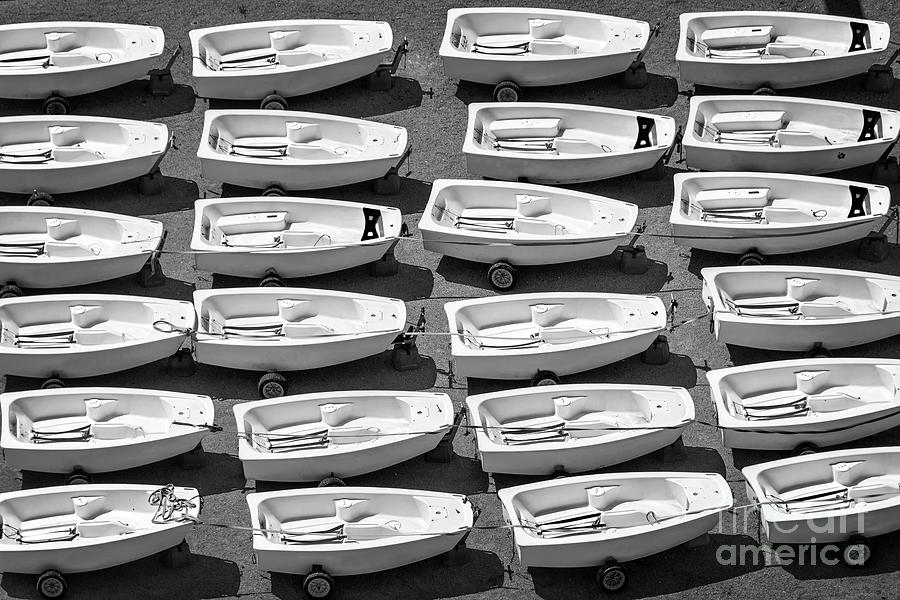 Boat Photograph - Optimist dinghies by Delphimages Photo Creations