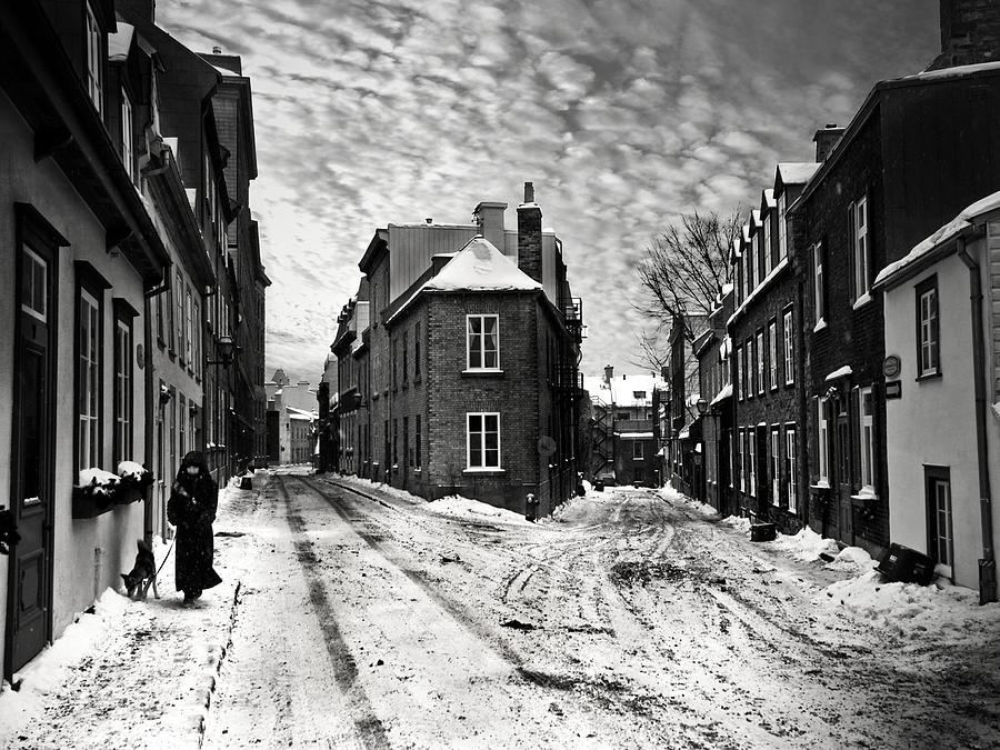 Winter Photograph - Option by David Senechal Photographie (polydactyle)
