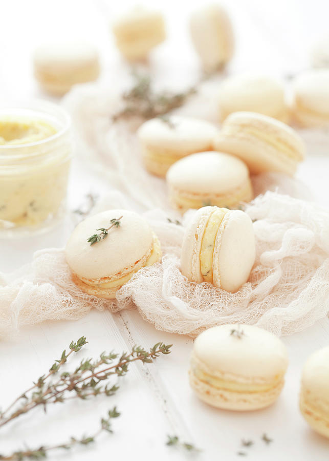 Orange And Thyme Macarons With Fresh Thyme Photograph by Jane Saunders