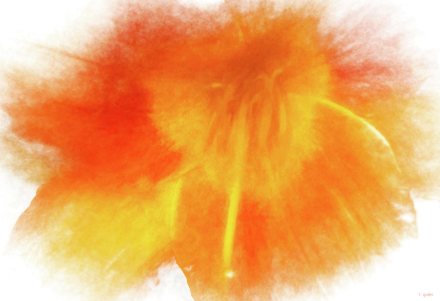 Orange and Yellow Hibiscus Flower Abstract Photograph by Tony Grider