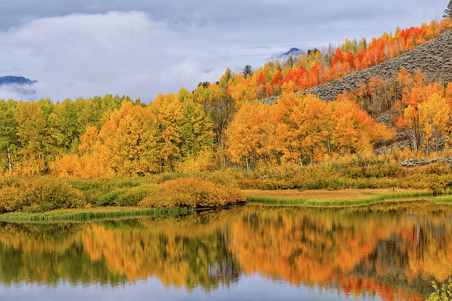 Orange Aspen Reflected in the Oxbow  Photograph by Kathleen Bishop