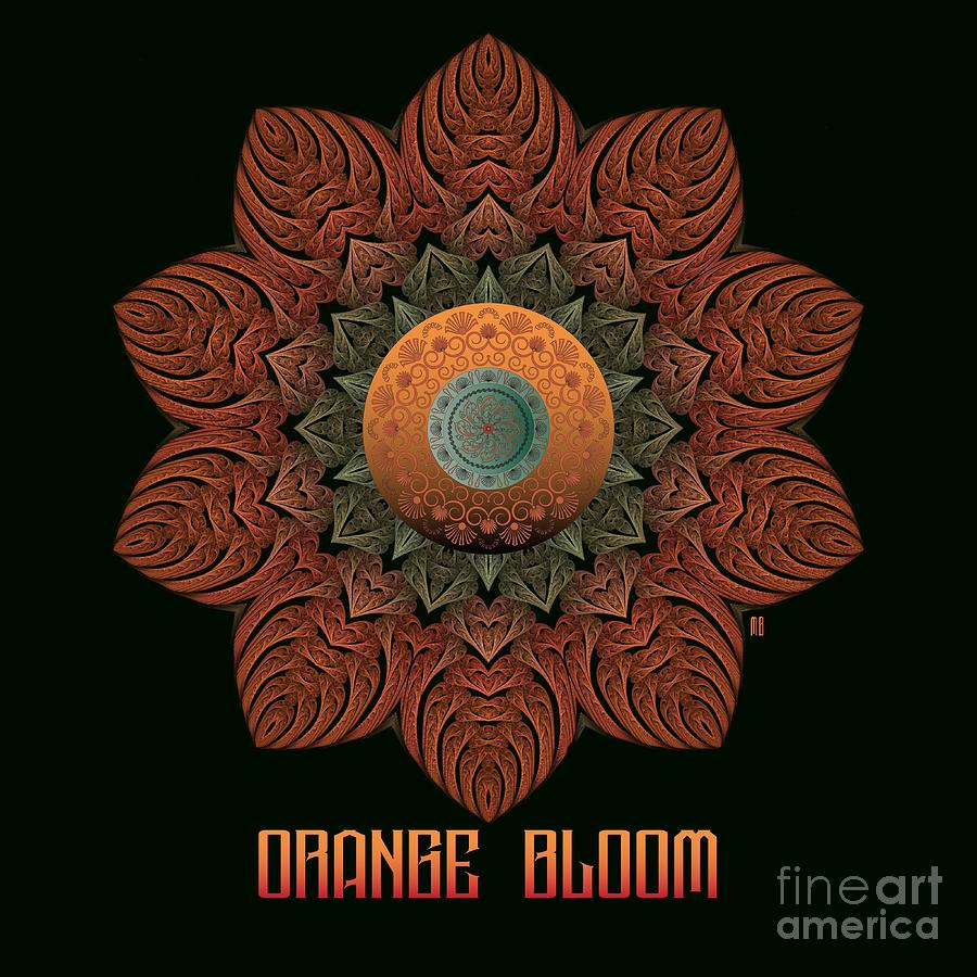 Orange Bloom M B Digital Art by Doug Morgan