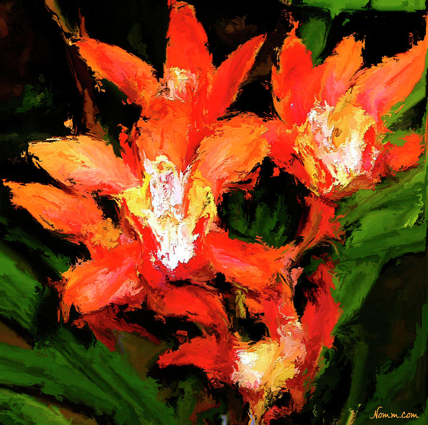 Orange Blossoms Digital Art by Rein Nomm
