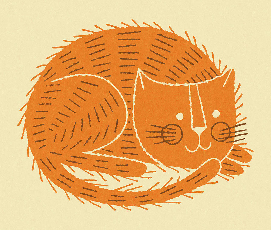 Vintage Drawing - Orange Cat by CSA Images