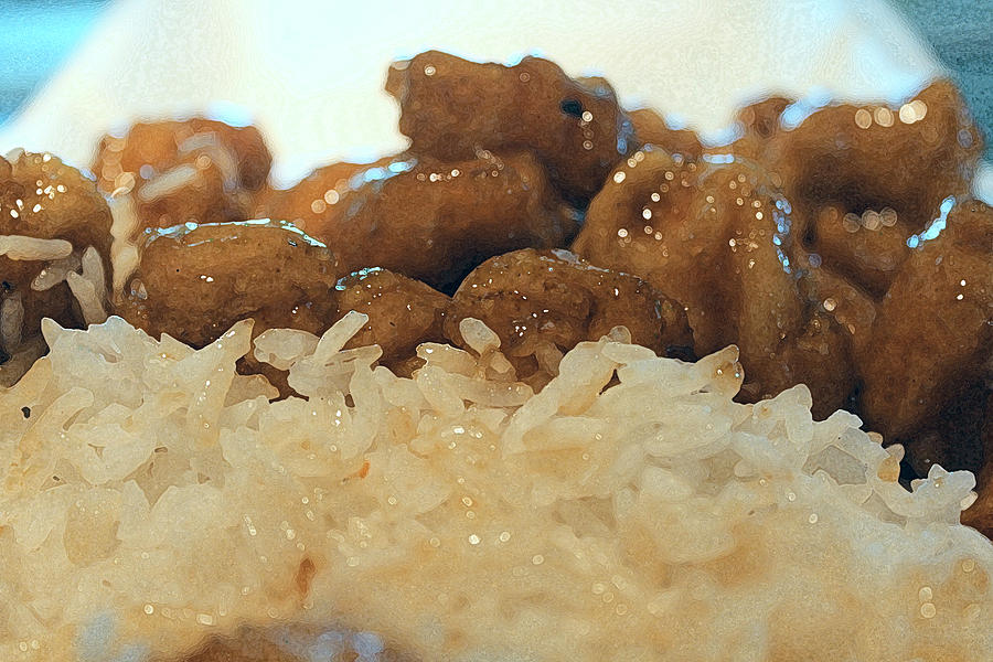 Orange Chicken With White Rice 9 Photograph by Christopher White - Fine