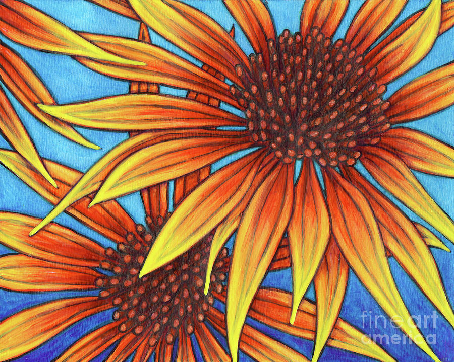 Orange Coneflowers Painting by Amy E Fraser
