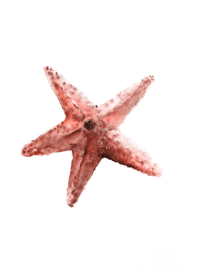 Starfish in Coral Original Painting