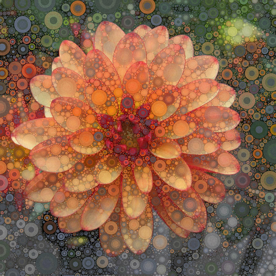 Orange dahlia Digital Art by Daniel McPheeters