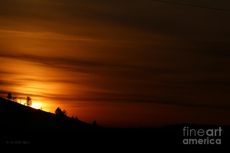 Orange Dawn Photograph by Ann E Robson