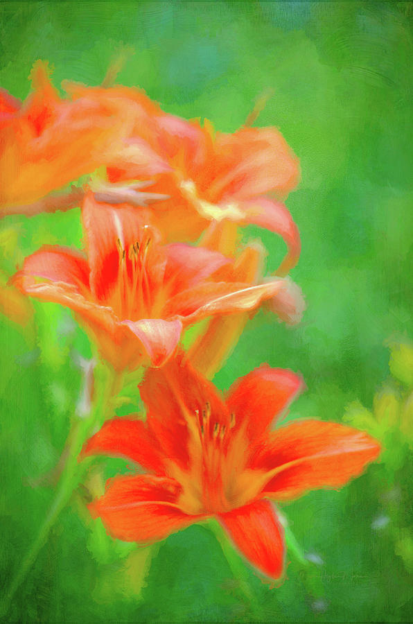 Orange Daylilies - Digital Painting Photograph by Maria Angelica Maira