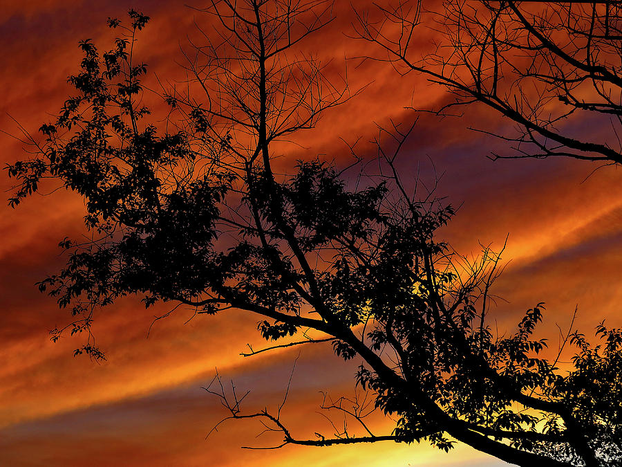 Orange Evening Sky Photograph by Linda Stern