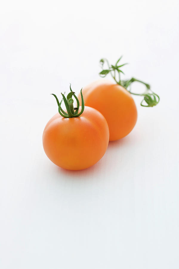 orange Favourite tomato Variety Photograph by Michael Wissing
