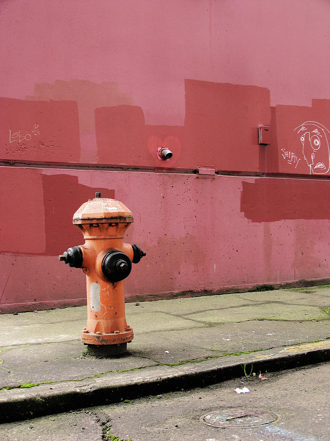 Orange Fire Hydrant With Pink And Red Photograph by Kevinruss