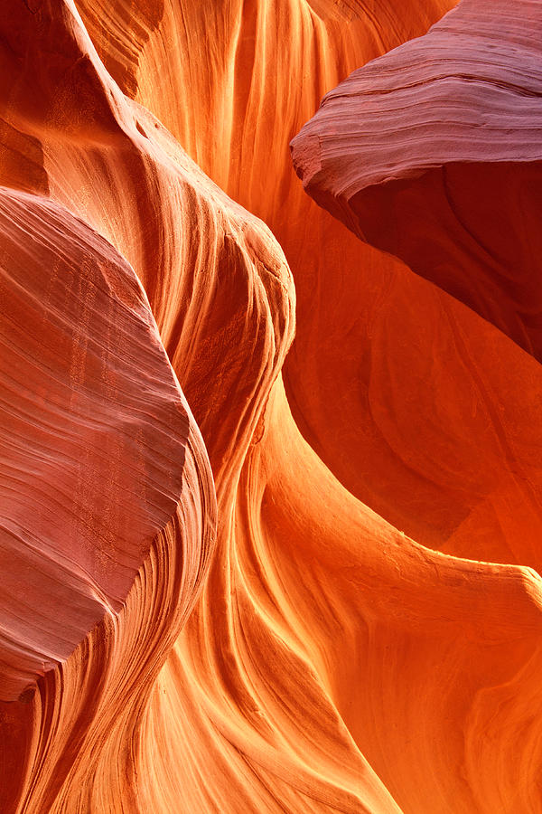 Orange Fire Of Lower Antelope Canyon by Justinreznick