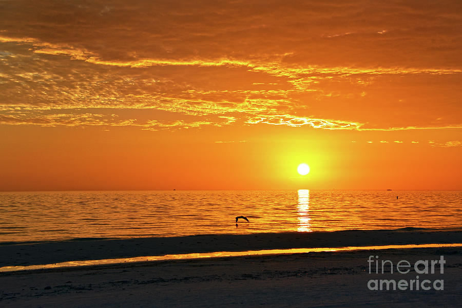 Orange Florida Sunset Photograph