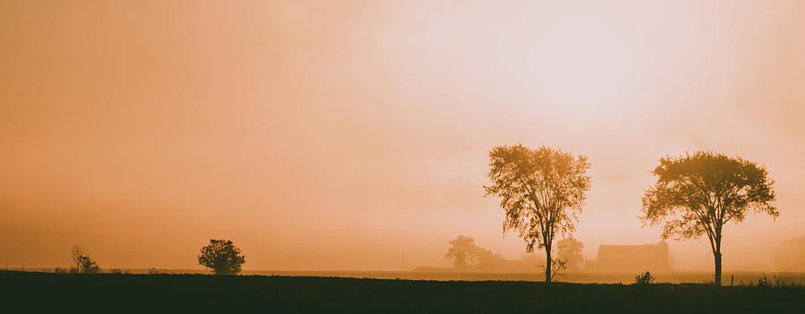 Orange Foggy Sunrise with Twin Trees Photograph by Kat Brannaman - Fine ...